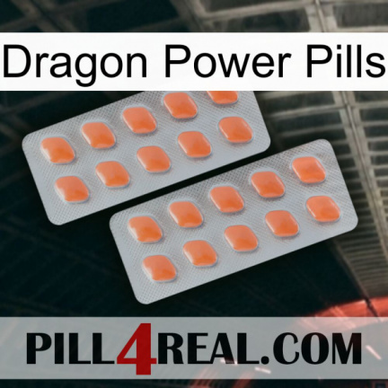 Dragon Power Pills 27